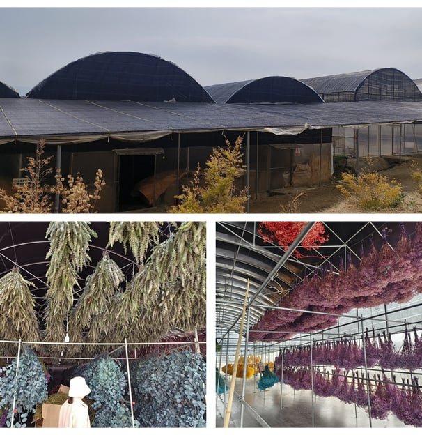Preserved Flower Factory
