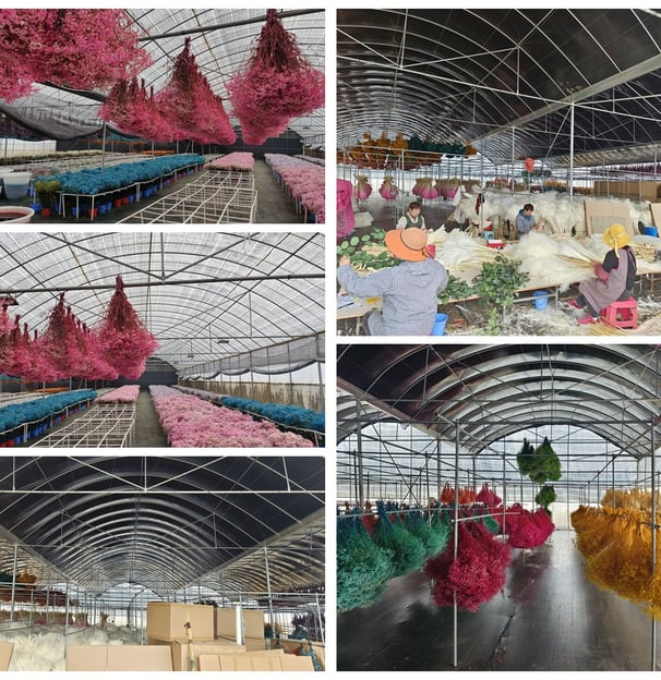 Preserved Flower Factory