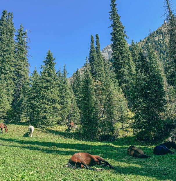 Ala Kul Trek