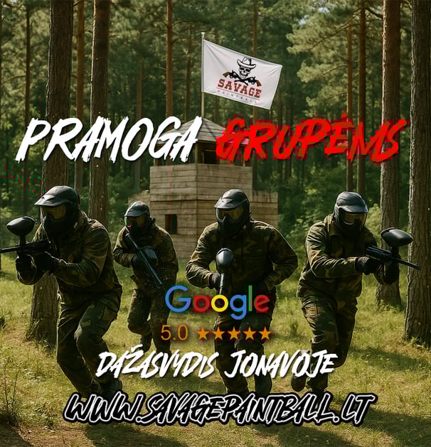 Dažasvydis dazasvydis paintball
