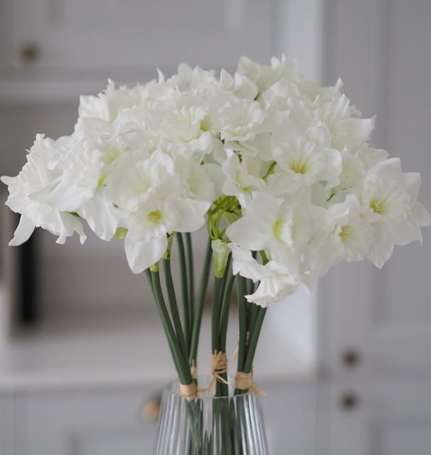 white daffodils