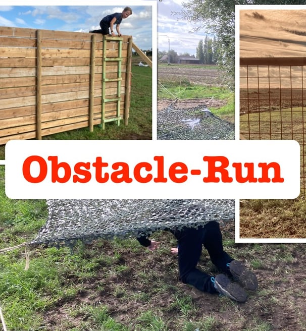 a person standing on a fenced in area with a fence and fence