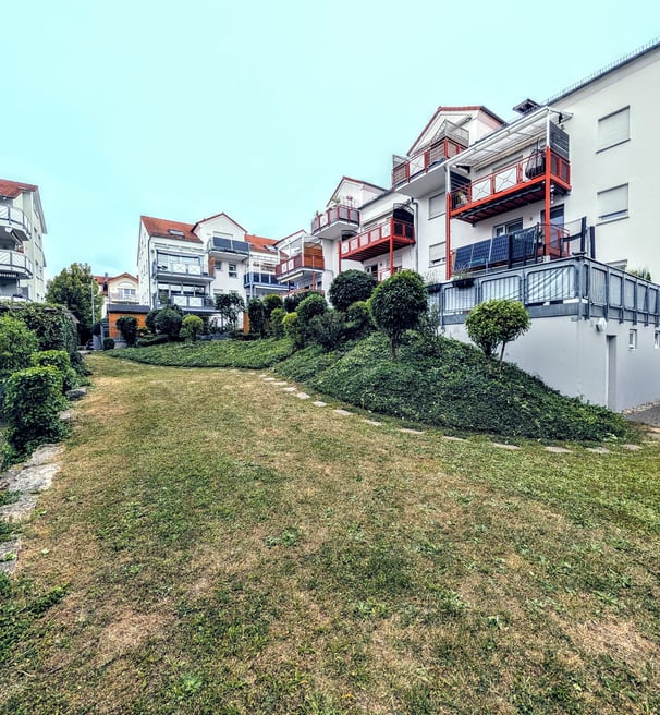 a grassy area with a grassy area and a few bushes