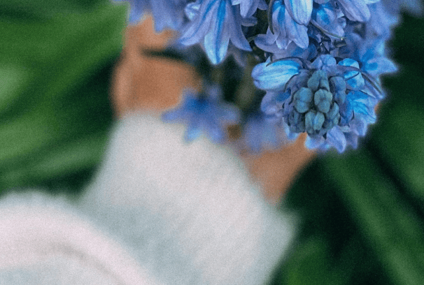 hand picking blue flower