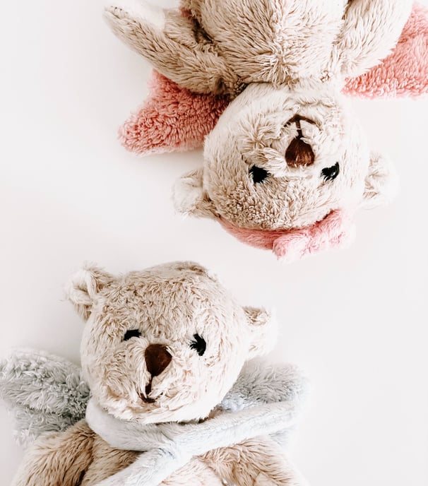 2 nounours opposés par la tête posés sur un sol blanc - Micro-crèche règlementation 2023