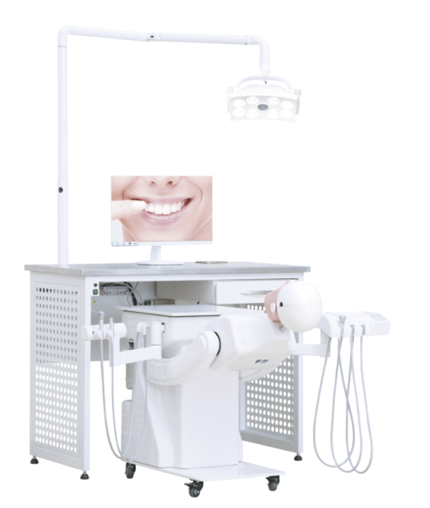 Dental Simulation for Teacher FT-V