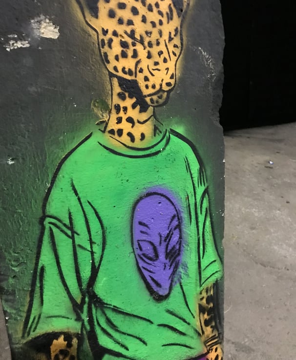 Onças humanas de Sérgio Astral embelezam a arte urbana nas ruas de Barra do Garças.