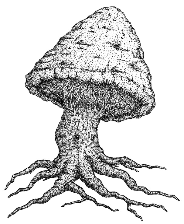 ink art - mushroom tree