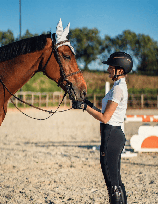 cavallo salto ostacoli