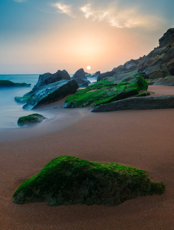 a beach with a sunset and a green grass