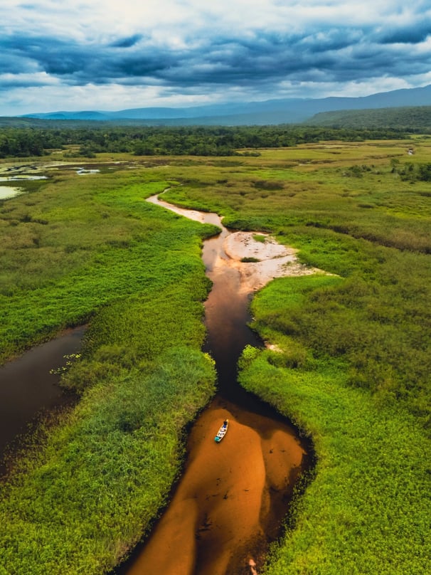 mini pantanal drone
