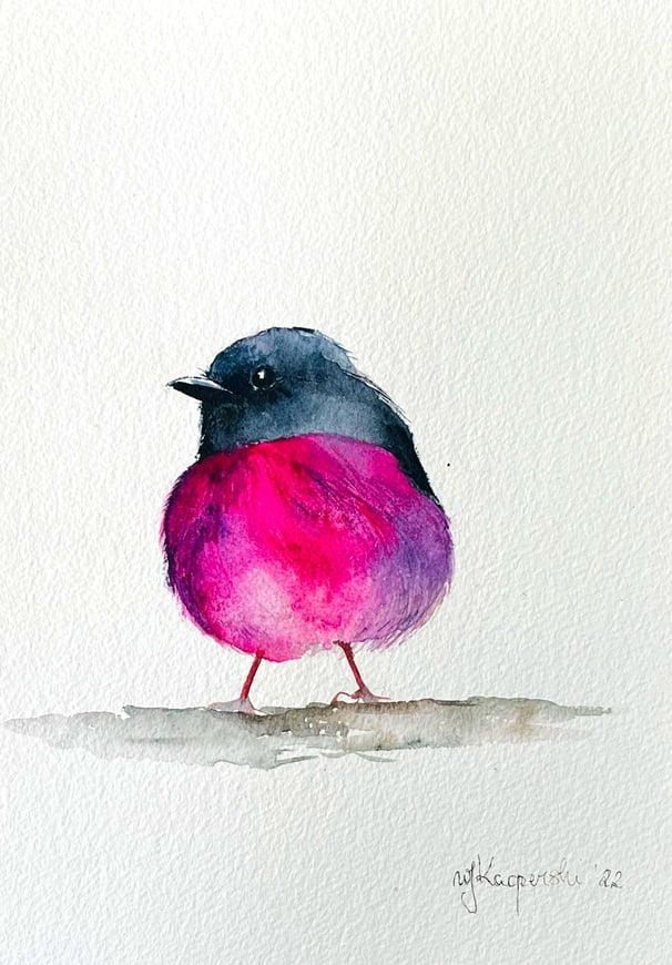 Australian Pink Robin Watercolor | Weronika Kacperski