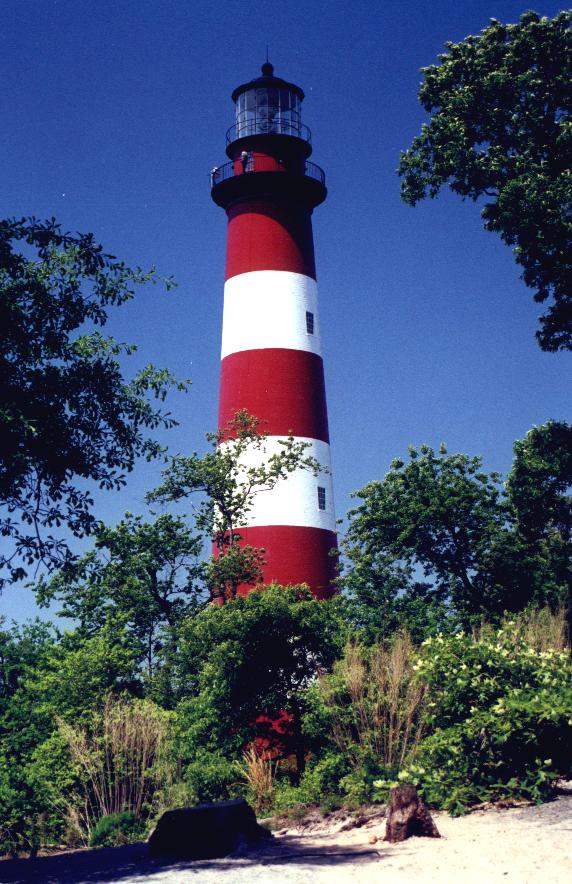 "Assateague Lighthouse on the Eastern Shore of Virginia"