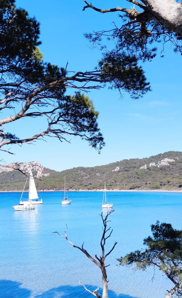 Vue de porquerolles Hyràes dans le var