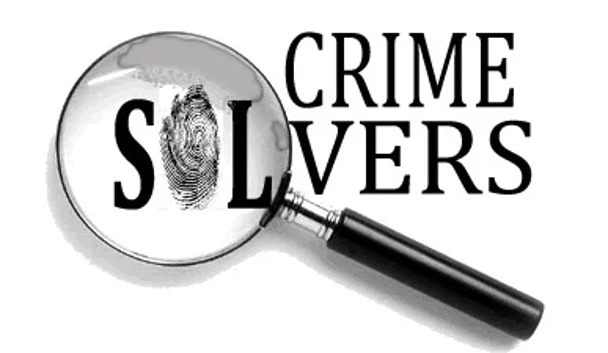 Mystery Crime Solvers logo