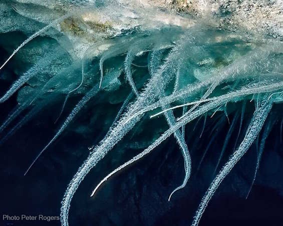 Microbial Mantle clinging to the roof of an underwater Nullarbor Cave