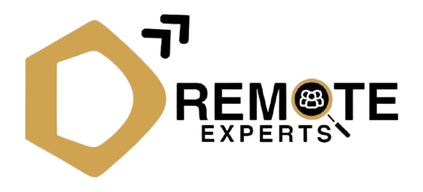 D Remote Experts logo