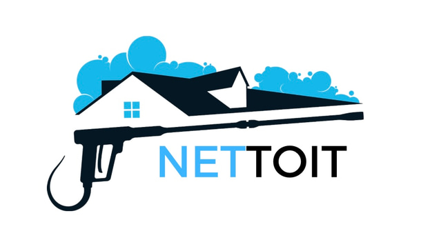 nettoit logo