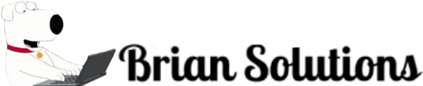Brian Solutions logo