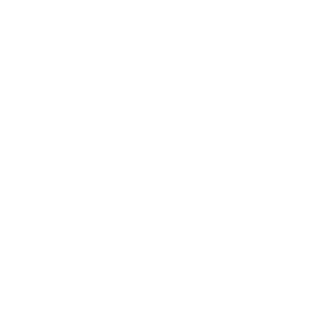 Alejandrinaessence logo