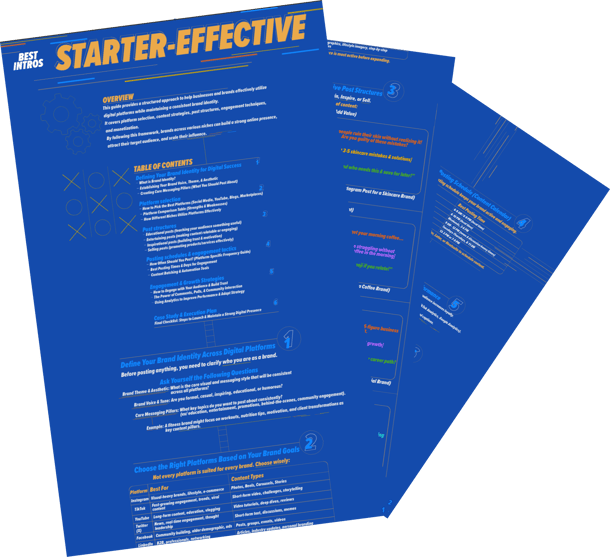 Preview of Starter Effective Guideline PDFs on how to utilize digital platforms and digital identity