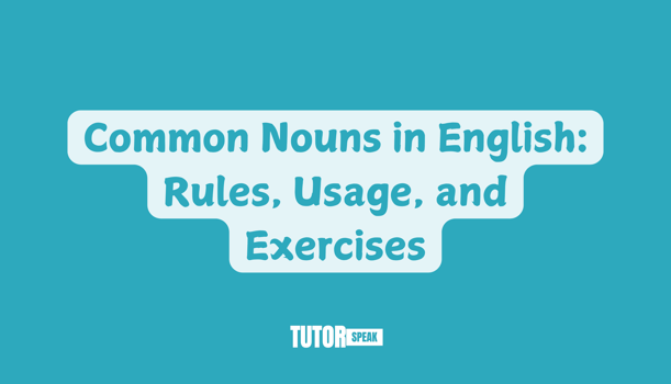 Common Nouns in English: Rules, Usage, and Exercises