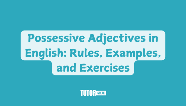 Possessive Adjectives in English: Rules, Examples, and Exercises