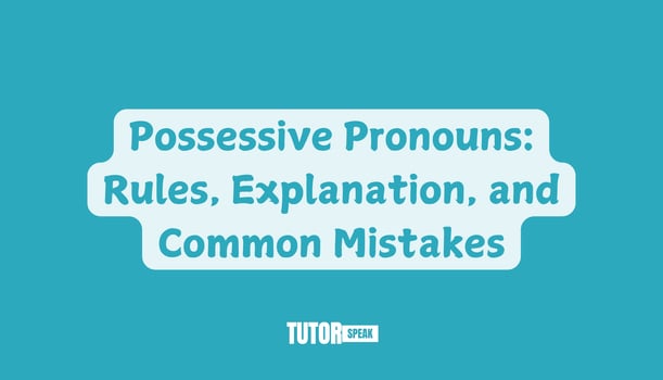 Possessive Pronouns: Rules, Explanation, and Common Mistakes