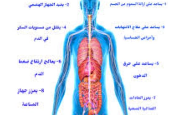 فوائد عديدة الصوم