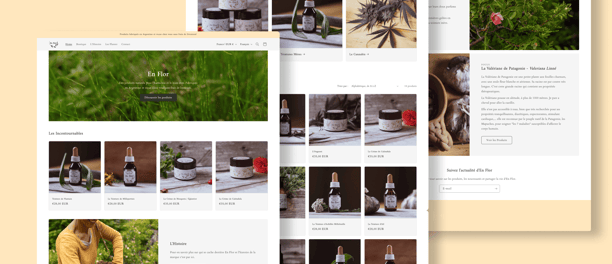 a website page design