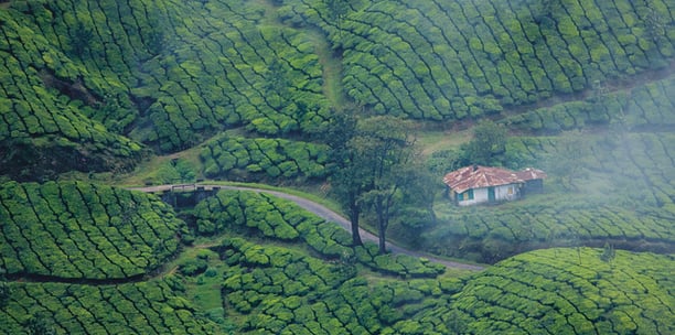 Kerala tours and packages