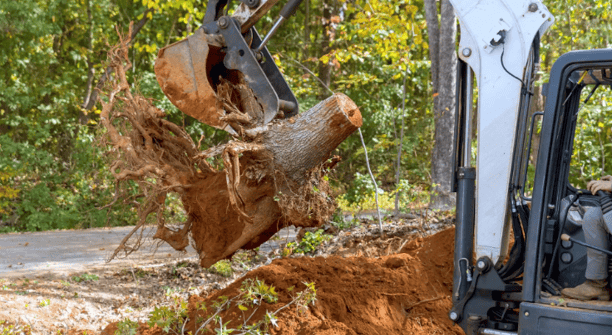 a man is taking a break from a tree stump removal