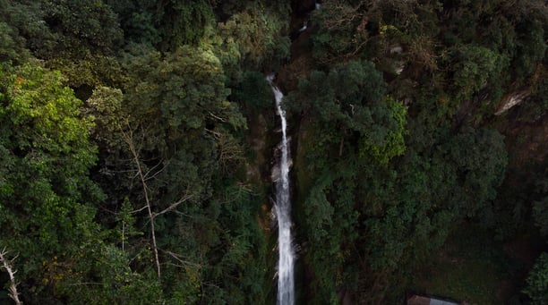 Chagay Falls. "The biggest fall of West Bengal"