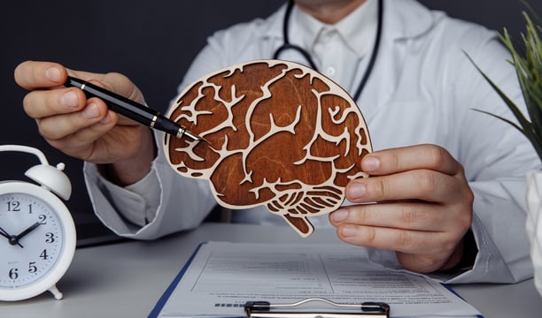 Una persona señalando a un cerebro de madera