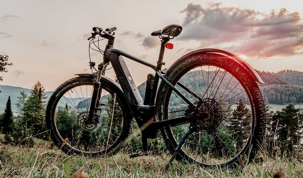 Abgestelltes E-Bike vor Naturkulisse