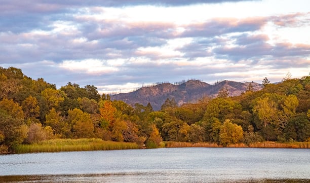 Spring Lake - Santa Rosa