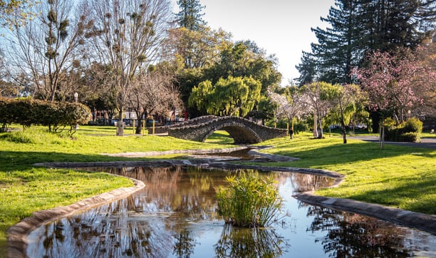 Juliard Park - Santa Rosa