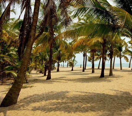 Kerala tour packages tours