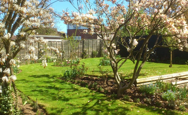 Garden Doctor garden and grounds maintenance in Norwich