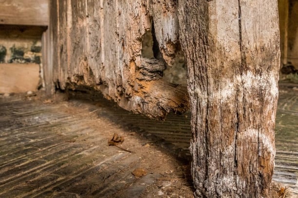 Rotting wood and structural damage