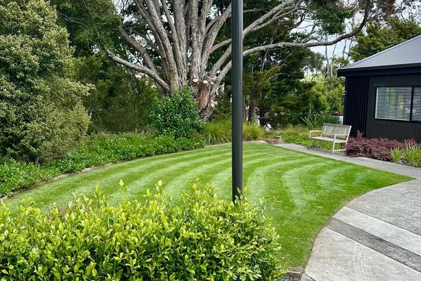 a hedge with a manicured lawn in the background