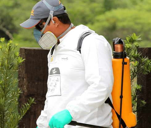 controle de pragas em jardim