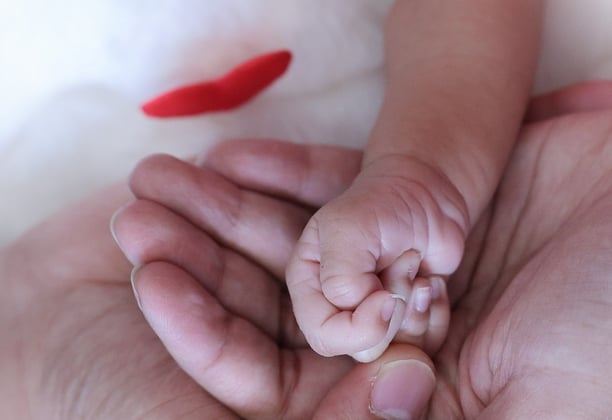 Newborn Portrait