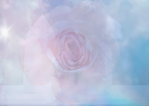 soft, layered, feminine rose of healing