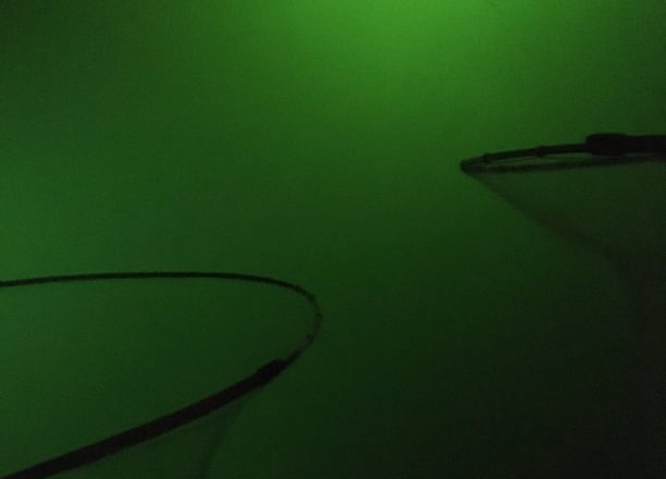 a green light shining through a green wall