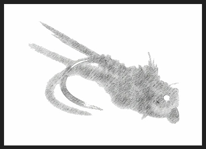La mouche de pointe - pêche à la mouche