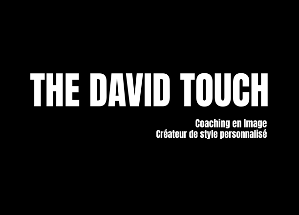 Logo The David Touch