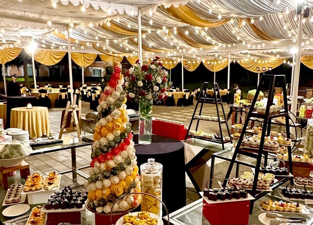 Grand reception setup for wedding