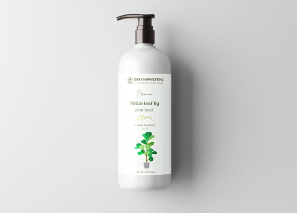 Easy Harvesting fiddle leaf fig liquid fertilizer bottle with pump, shown alongside service offering