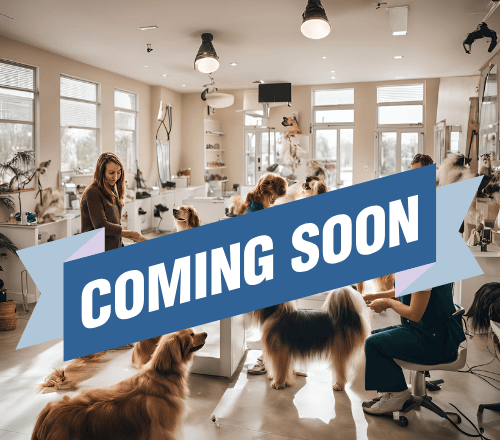 a CGI image demonstrating the dog grooming salon that is coming soon